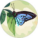 Karen Higgins profile picture